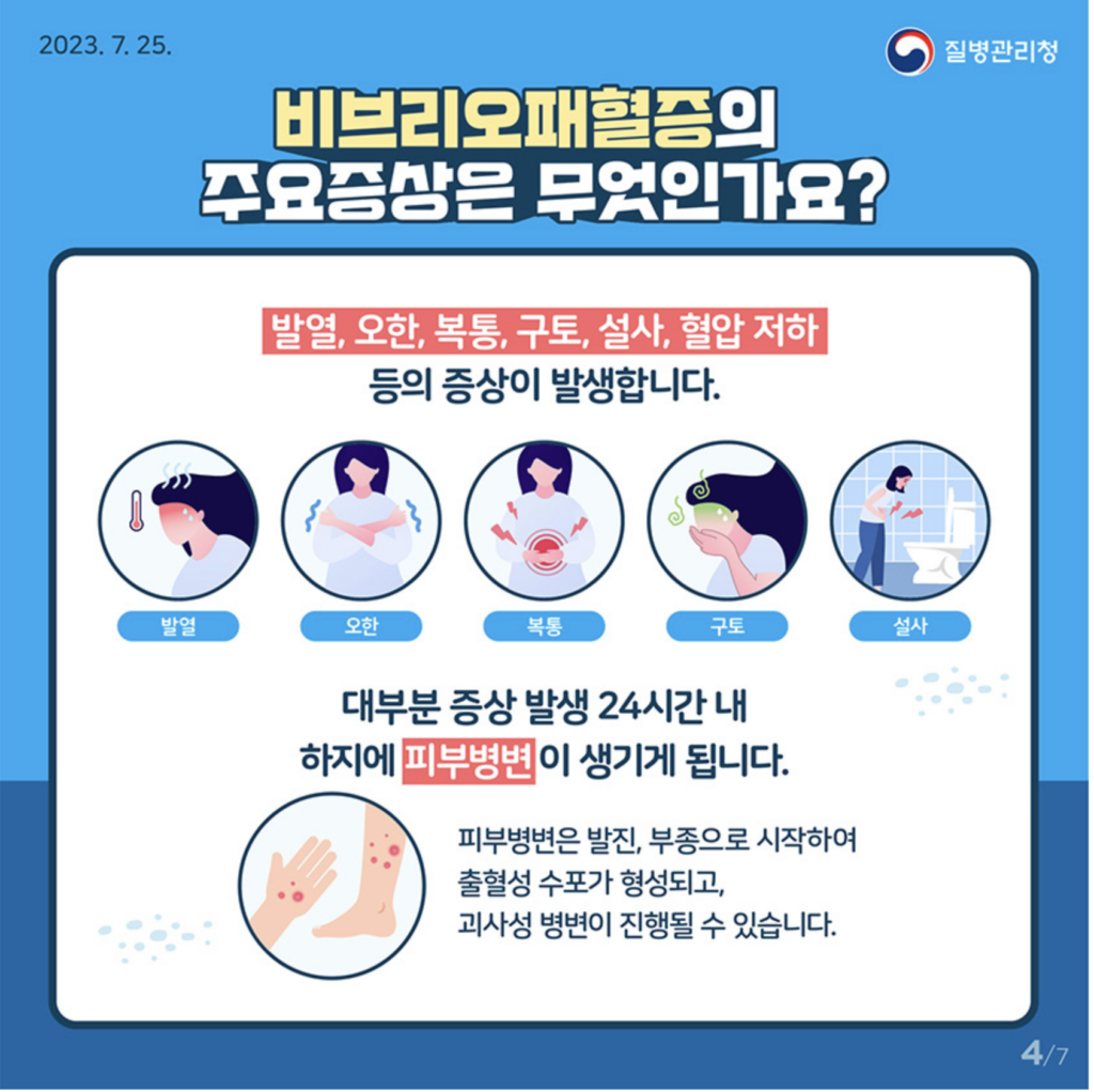 비브리오 패혈증증상